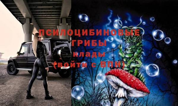 a pvp Беломорск